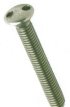 2 hole Type Raised Machine Screws